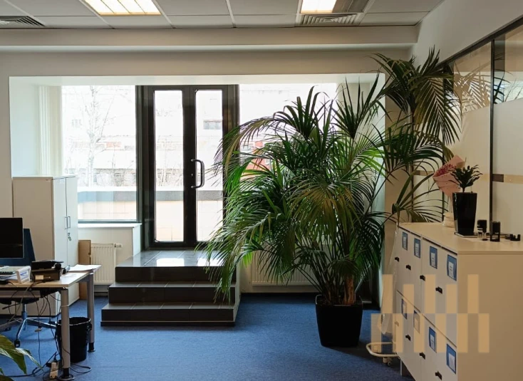 premises