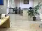premises