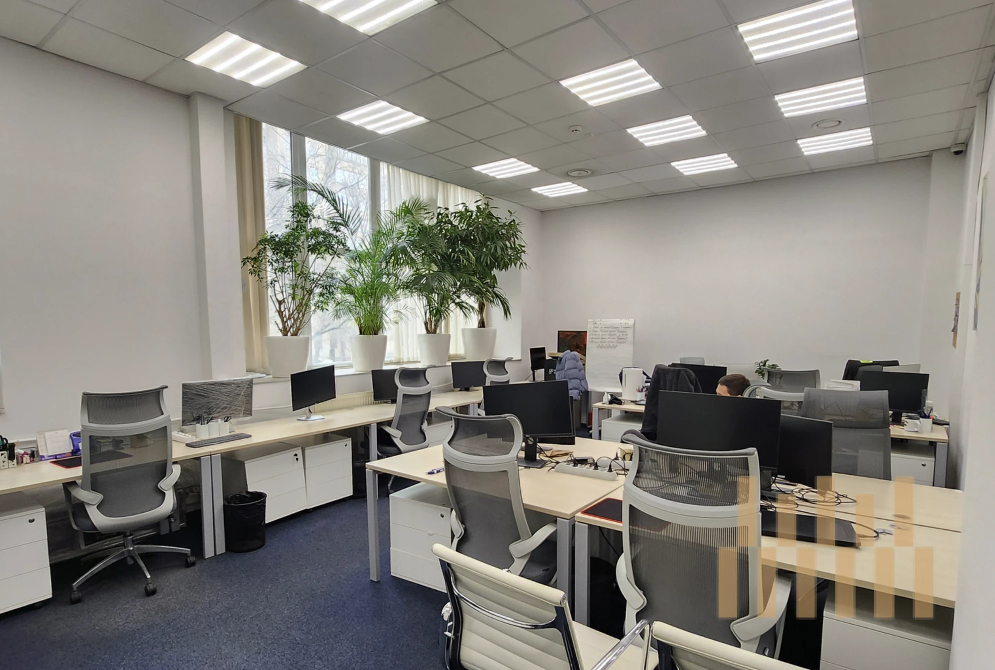 office